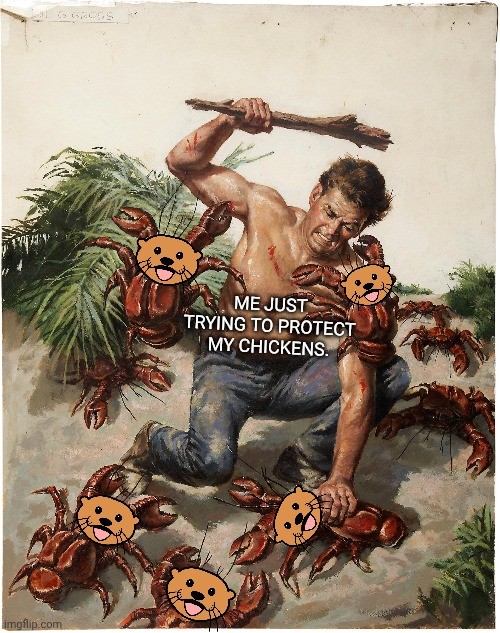 Just a rant. I swear these mother otters are starting to piss me off. When they get old they can't Hunt for food out at sea so they go up rivers to hunt on land